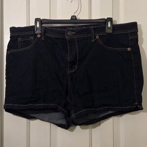 Fade To Blue: Denim Women's Jean Shorts.  Size 20W.